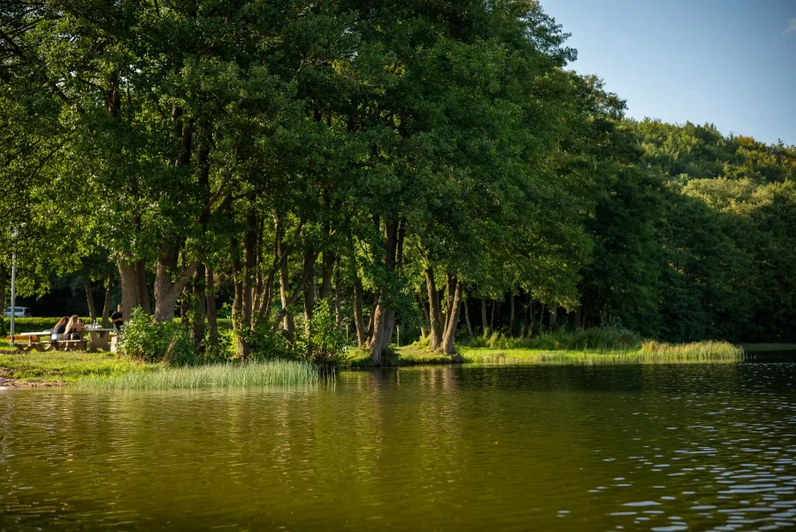 Natura – Natura