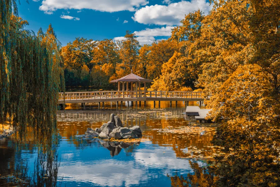 Natura – Natura