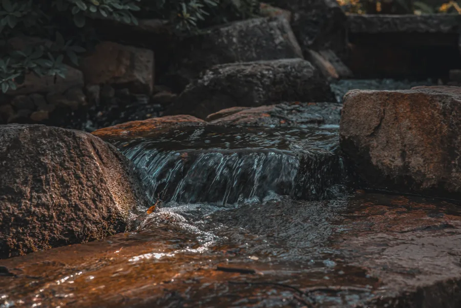Natura – Natura